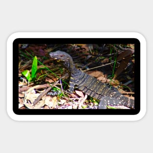 Small Goanna! Sticker